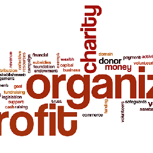 IT Services 9 IT Support for Non Profit Organisations 1