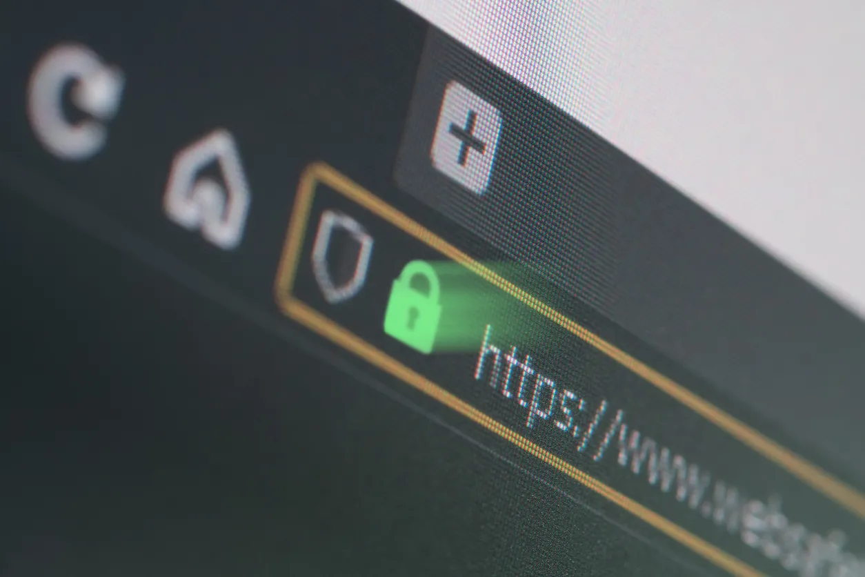 Securing a business WordPress website with updates and strong logins.